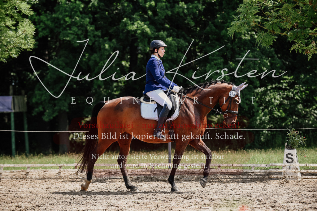 DSC_1209 | Pferde- und Turnierfotografie in Westsachsen. Pferdeportraits, Auftragszeichnungen und intuitive Kunst.