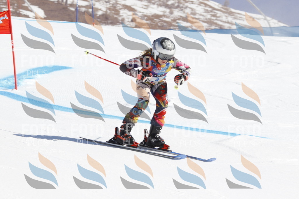 _U3G8551 | holidayphoto