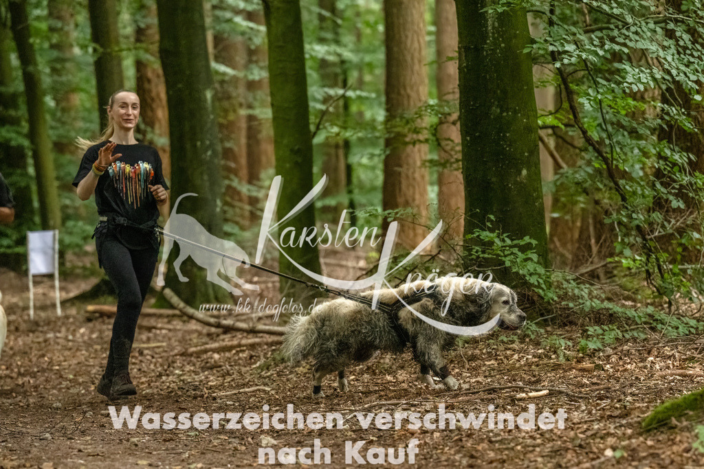 1227_ZZ91123-Bearbeitet-2 | kk-dogfotos
