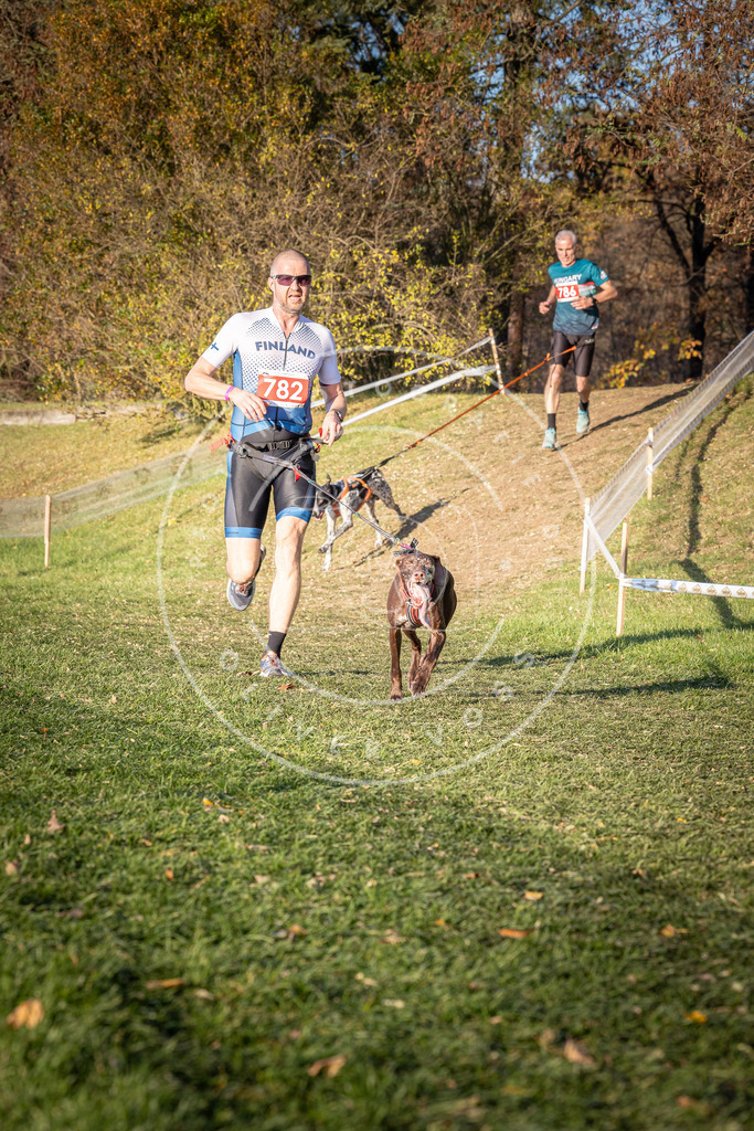 CaniXpix_0L8A0181 | Hundefotografie, Tierfotograf, Pfotenfotografie, Fotoshooting Hund, Hunde Portrait, Hundesport, Hundeportraits, Heideshooting, Hunde, Sportfotograf, Hundefotograf, Turnierhundsport, THS,  - Realisiert mit Pictrs.com