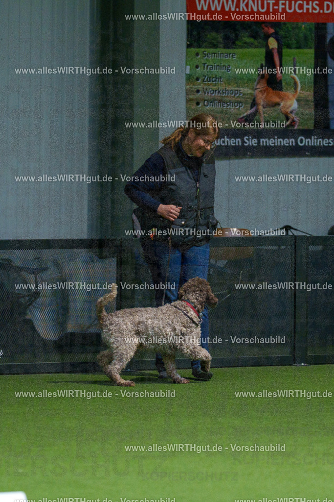 7R507845 | Professionelle Tierfotografie in Mönchengladbach von Daniel Wirth (allesWIRTHgut). Liebevolle & natürliche Bilder von Hunden & Katzen für unvergessliche Erinnerungen.