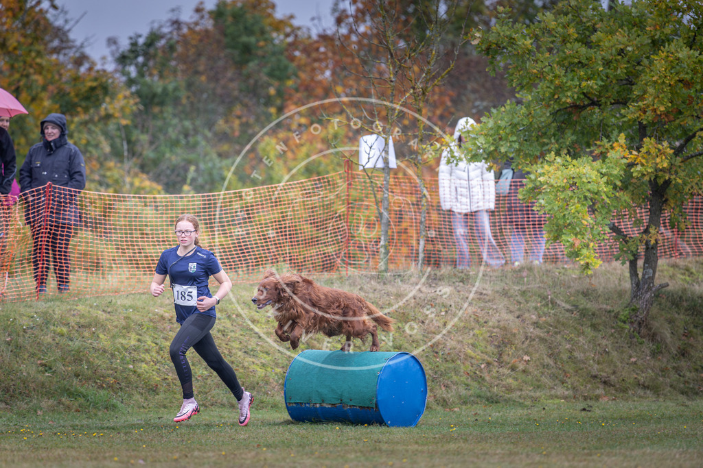 Pfotenfotografie_DV3A0430 | Hundefotografie, Tierfotograf, Pfotenfotografie, Fotoshooting Hund, Hunde Portrait, Hundesport, Hundeportraits, Heideshooting, Hunde, Sportfotograf, Hundefotograf, Turnierhundsport, THS,  - Realisiert mit Pictrs.com