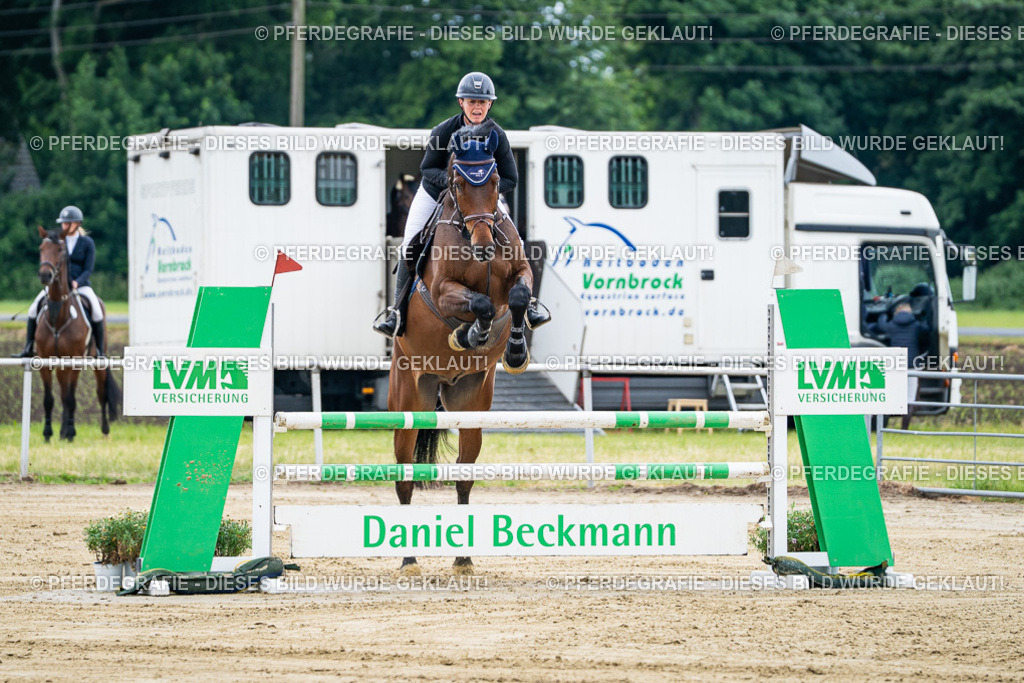 DSC04700 | Pferdegrafie