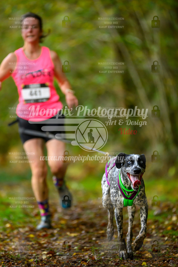 MompixPhotography_20TSB_E1_Run-77 | PayLife