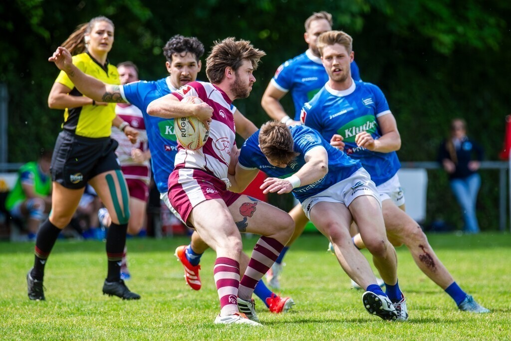 Rugby 1. Bundesliga Süd/West, Saison 2024/25, 14. Spieltag: SC Neuenheim gegen RSV Köln | Rugby 1. Bundesliga Süd/West, Saison 2024/25, 14. Spieltag: SC Neuenheim gegen RSV Köln - Realisiert mit Pictrs.com
