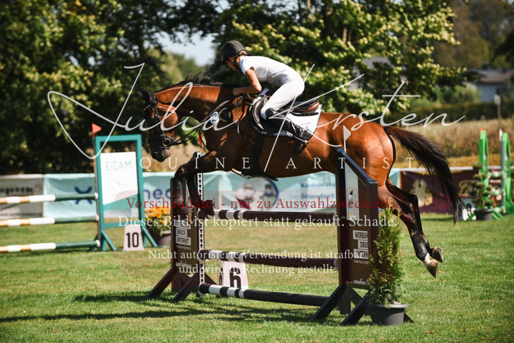 DSC_2898 | Pferde- und Turnierfotografie in Westsachsen. Pferdeportraits, Auftragszeichnungen und intuitive Kunst.