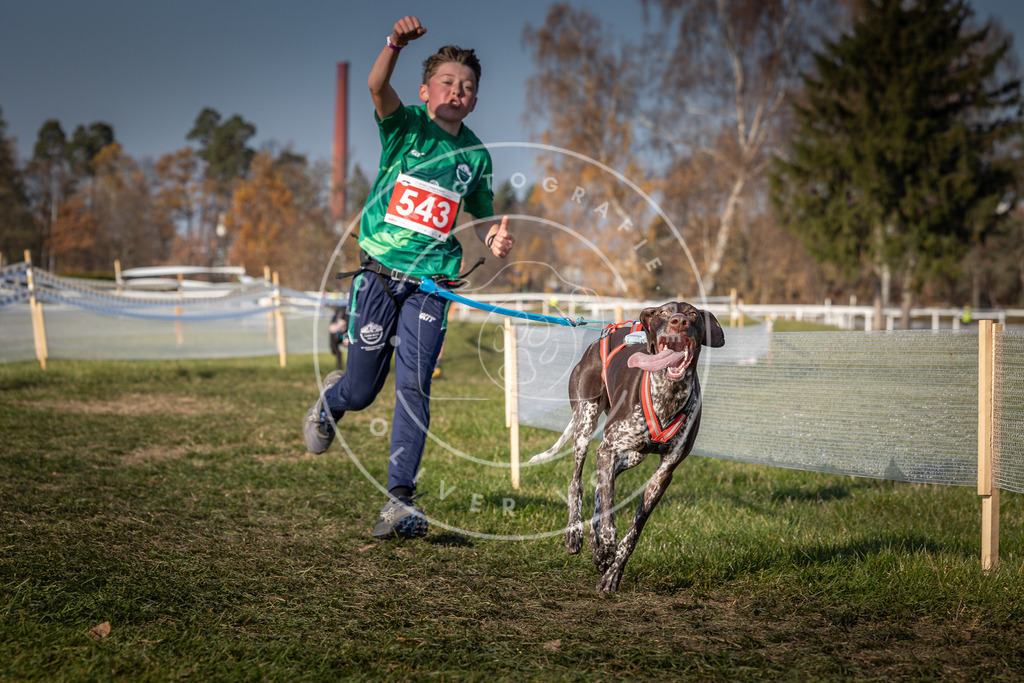 CaniXpix_0L8A8993 | Hundefotografie, Tierfotograf, Pfotenfotografie, Fotoshooting Hund, Hunde Portrait, Hundesport, Hundeportraits, Heideshooting, Hunde, Sportfotograf, Hundefotograf, Turnierhundsport, THS,  - Realisiert mit Pictrs.com