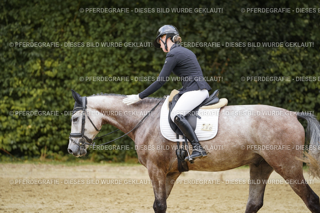 DSC00875 | Pferdegrafie