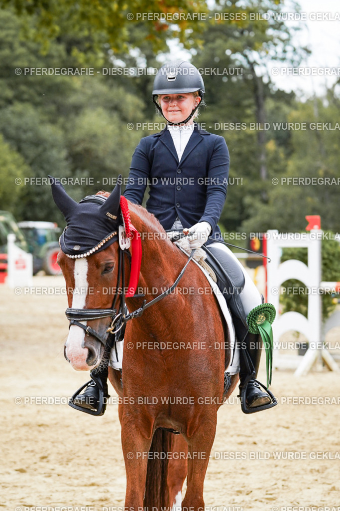 DSC06133 | Pferdegrafie