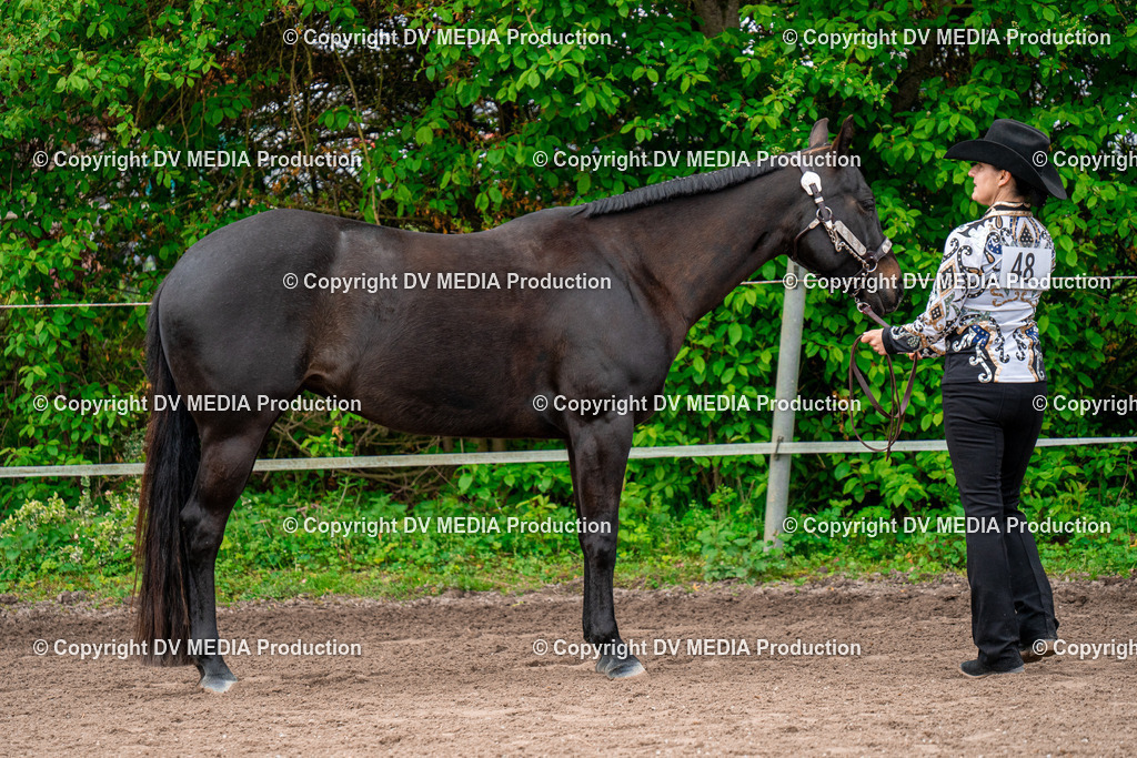 BA300226 | dv-media-shop - Realisiert mit Pictrs.com