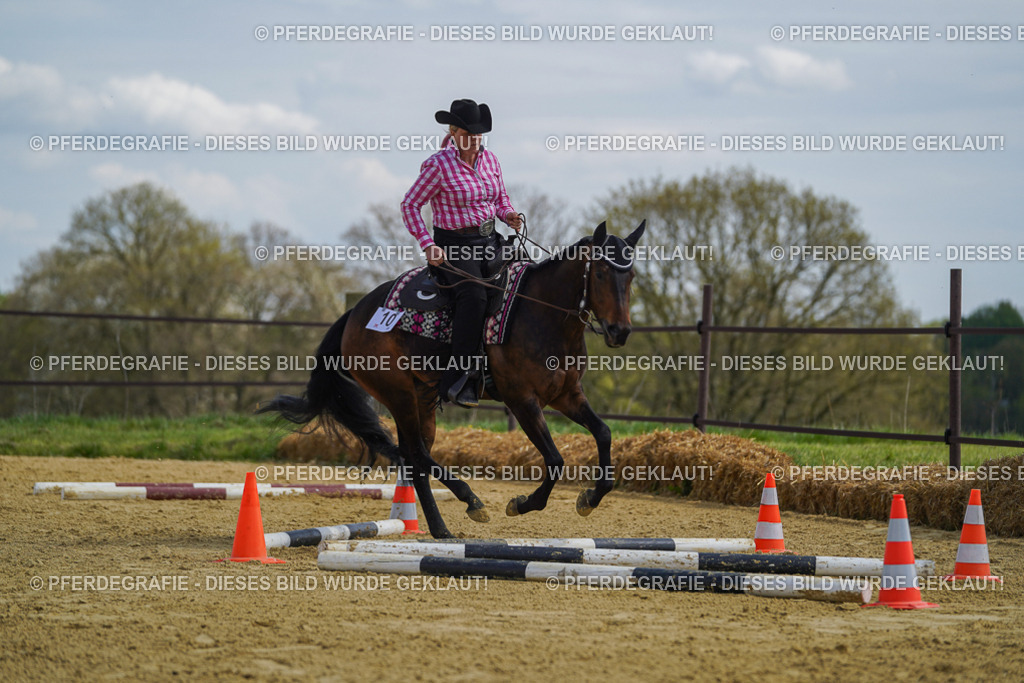 DSC05180 | Pferdegrafie