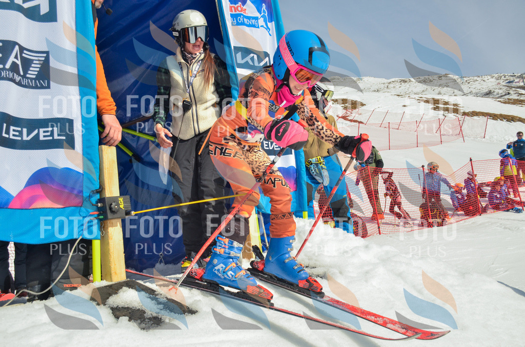 _ELE4373 | holidayphoto