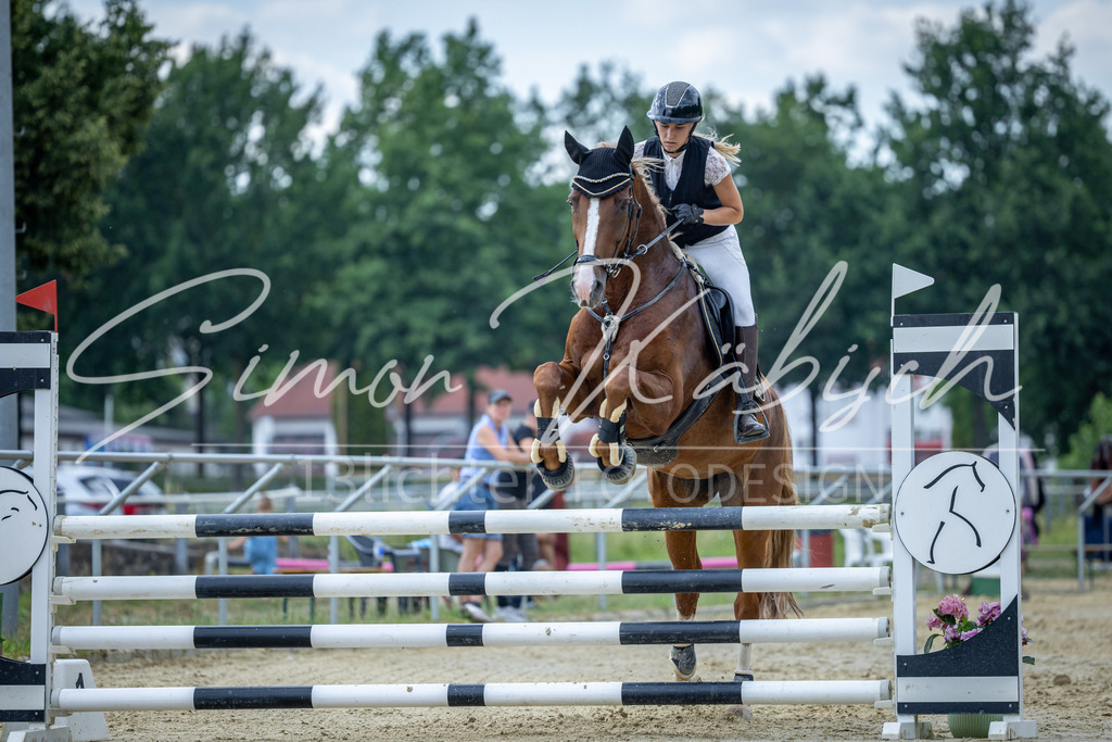 20260704-_3LI1676 | Tierfotografie Pferde, Hunde, Katzen, Haustiere.
Turnierfotografie Reitturniere, Reiten, Springreiten, Dressur in Hanau, dem Main-Kinzig-Kreis und dem Rhein-Main- Gebiet um Frankfurt