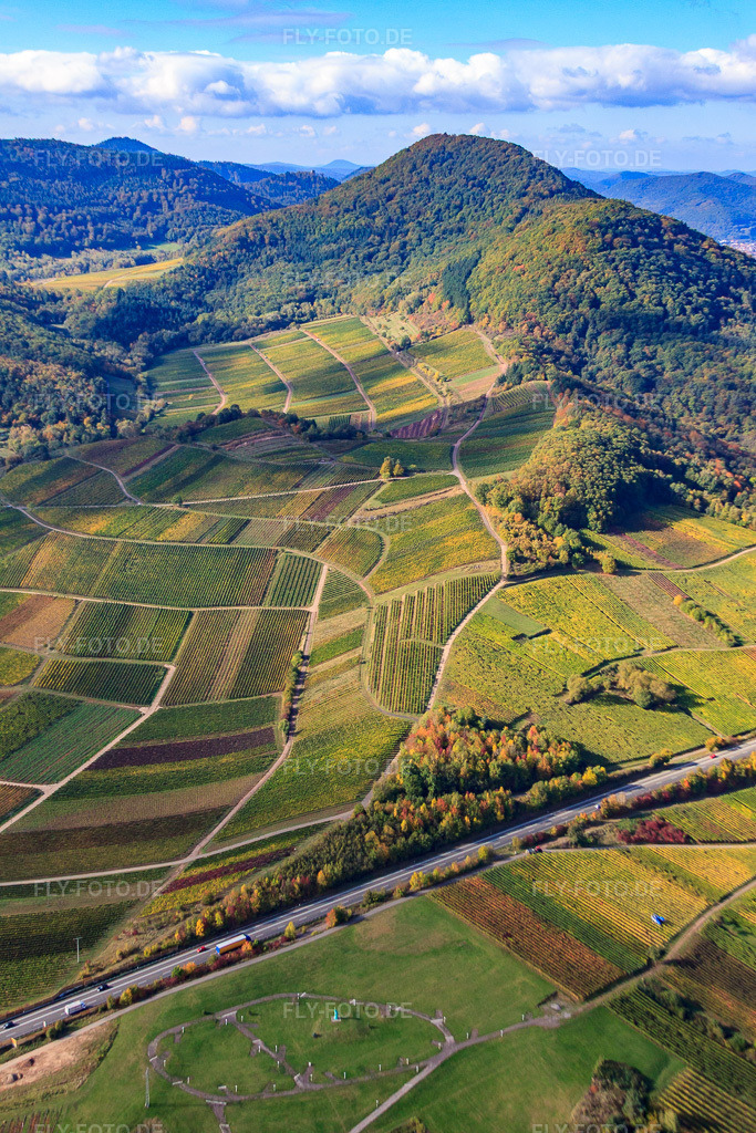 Luftbild: Weinlage Kastanienbusch unter dem Hohenberg in Birkweiler im Bundesland Rheinland-Pfalz in Deutschland. Foto: IMG_22317.jpg vom 15.10.2009 durch Werner Riehm/FLY-FOTO.de