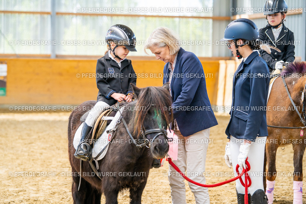 DSC00813 | Pferdegrafie