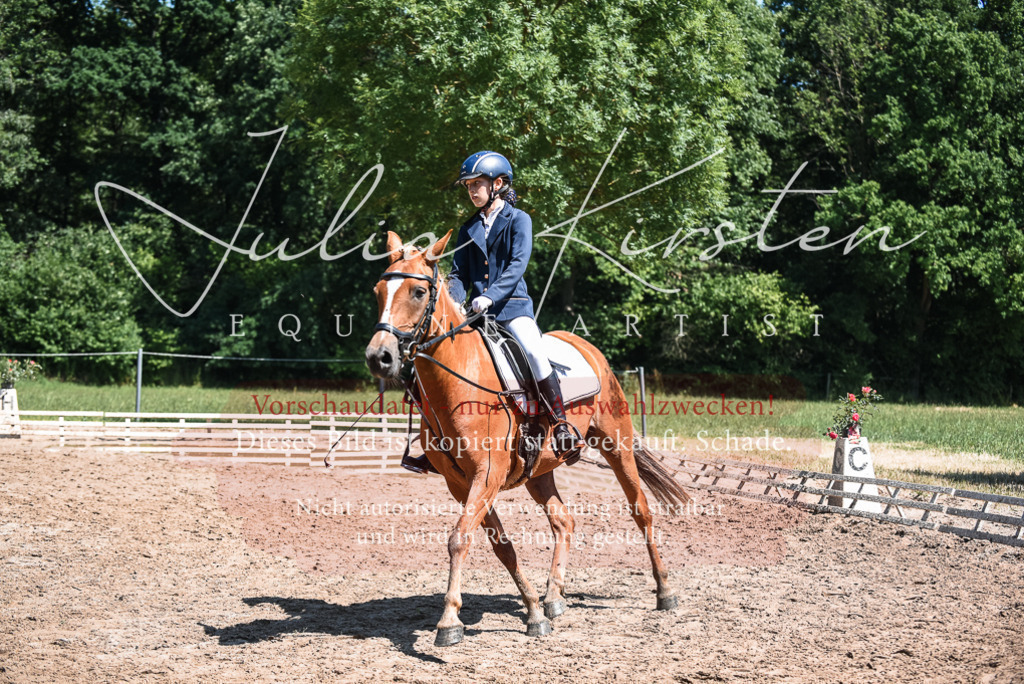 DSC_2925 | Pferde- und Turnierfotografie in Westsachsen. Pferdeportraits, Auftragszeichnungen und intuitive Kunst.