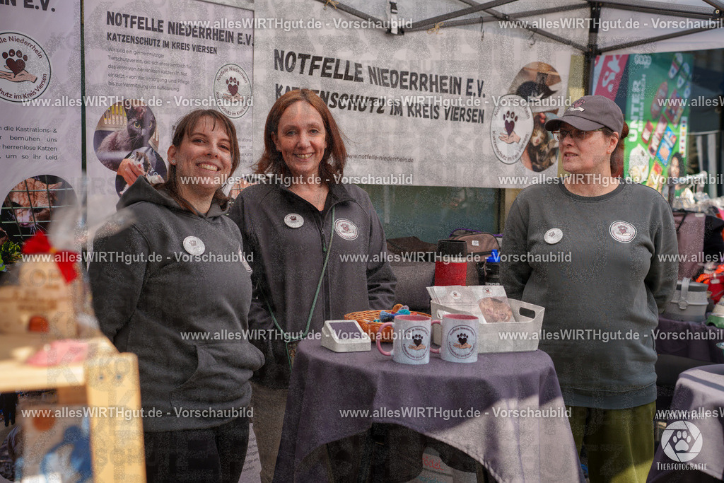 Pfötchenmarkt Nettetal-Lobberich 2026 - Nettetal-Tag - Daniel Wirth - www.allesWIRTHgut.de - @allesWIRTHgut_Tierfotografie 7R507760 | Professionelle Tierfotografie in Mönchengladbach von Daniel Wirth (allesWIRTHgut). Liebevolle & natürliche Bilder von Hunden & Katzen für unvergessliche Erinnerungen.