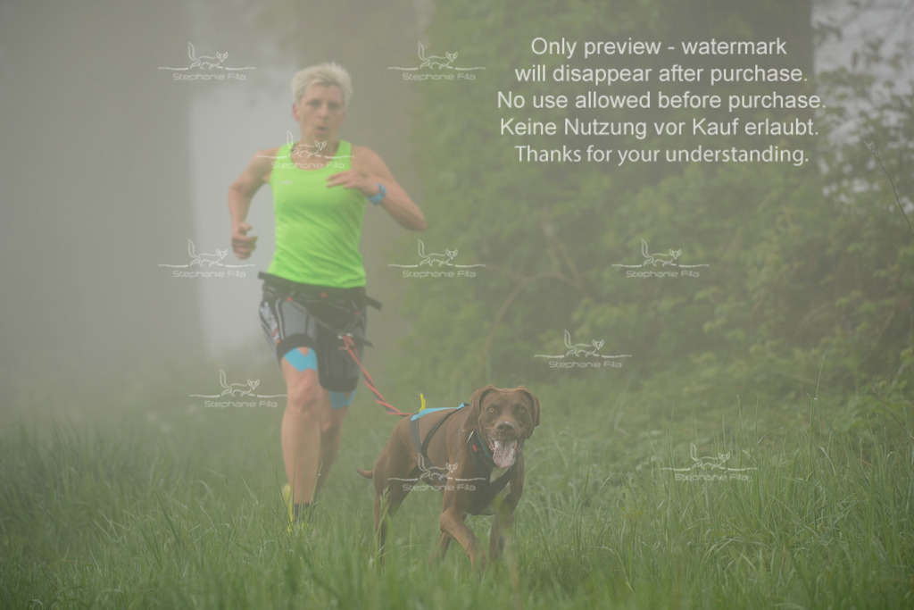 SA_GL2-98 | stephaniefillaphotographie - Realisiert mit Pictrs.com