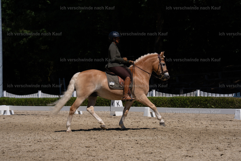 WS_DR_1_sinafilmart_IN03440 | working equitationturnier fotograf videograf stoibphotography marixx film working equitation deutschland reitsport turnierfotografie eventfotografie equestrian events