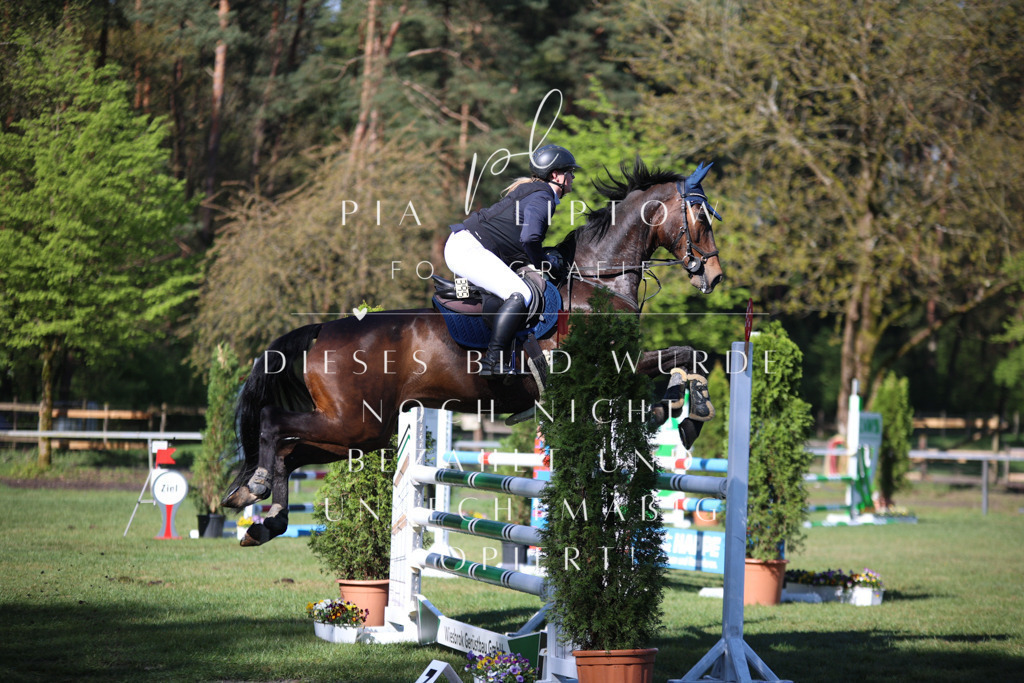 IMGT0124 | pl-fotografie