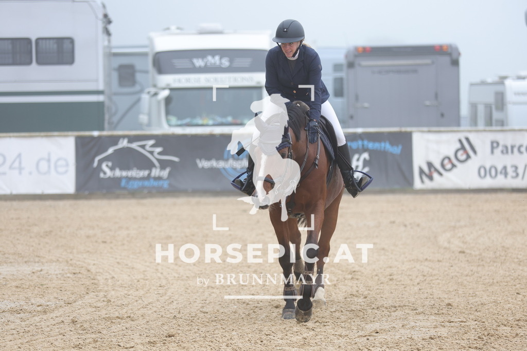 0P6A0452 | Willkommen bei Brunnmayr - Design & Fotografie – Ihrem Spezialisten für Reitturniere und Pferdeveranstaltungen in Oberösterreich, Salzburg und Bayern! Seit über 17 Jahren sind wir leidenschaftlich dabei.
