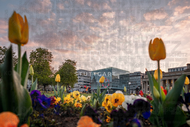 _DSF6762 | "Entdecken Sie atemberaubende Bilder von Stuttgart im Fotowerk Stuttgart! Kaufen Sie hochwertige Fotos auf Leinwand oder laden Sie digitale Downloads für Ihre Wohnung oder Büros herunter.  - Realisiert mit Pictrs.com