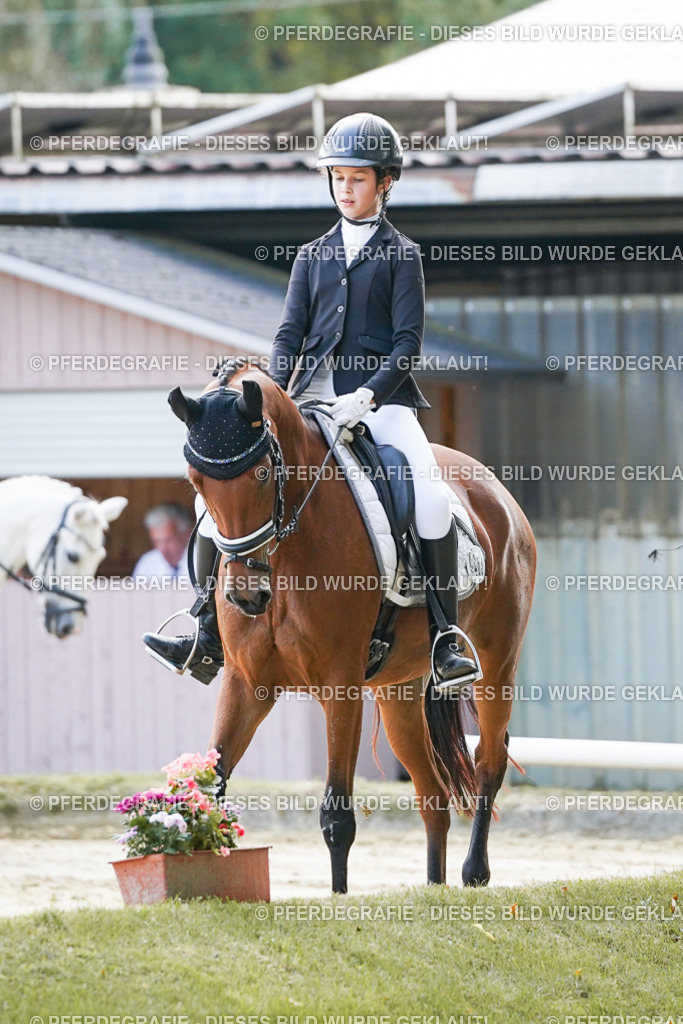 DSC05330 | Pferdegrafie