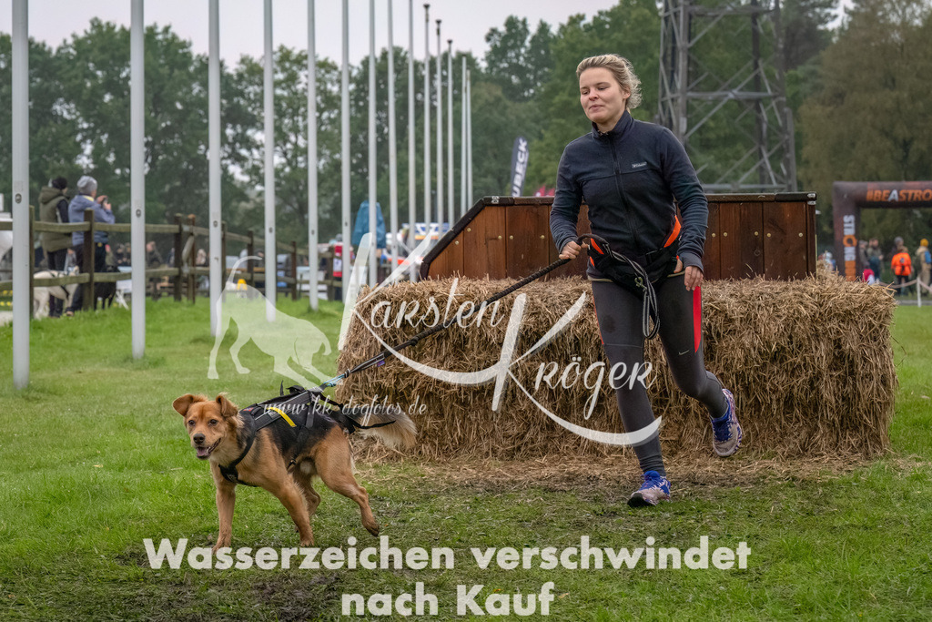 1225--11 | kk-dogfotos