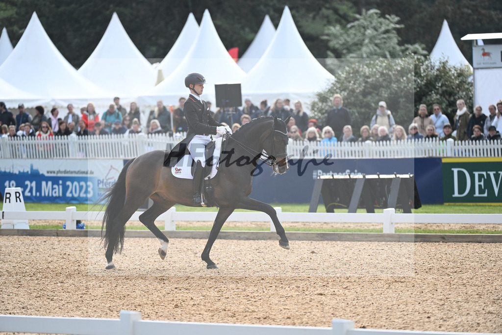 Netz_Great Escape_Camelot_11232942 | hf-fotografie - Realisiert mit Pictrs.com