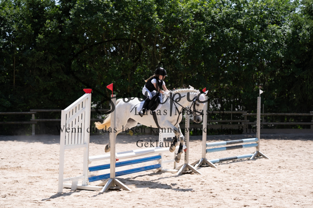 A7V08294 | Pferdefotograf