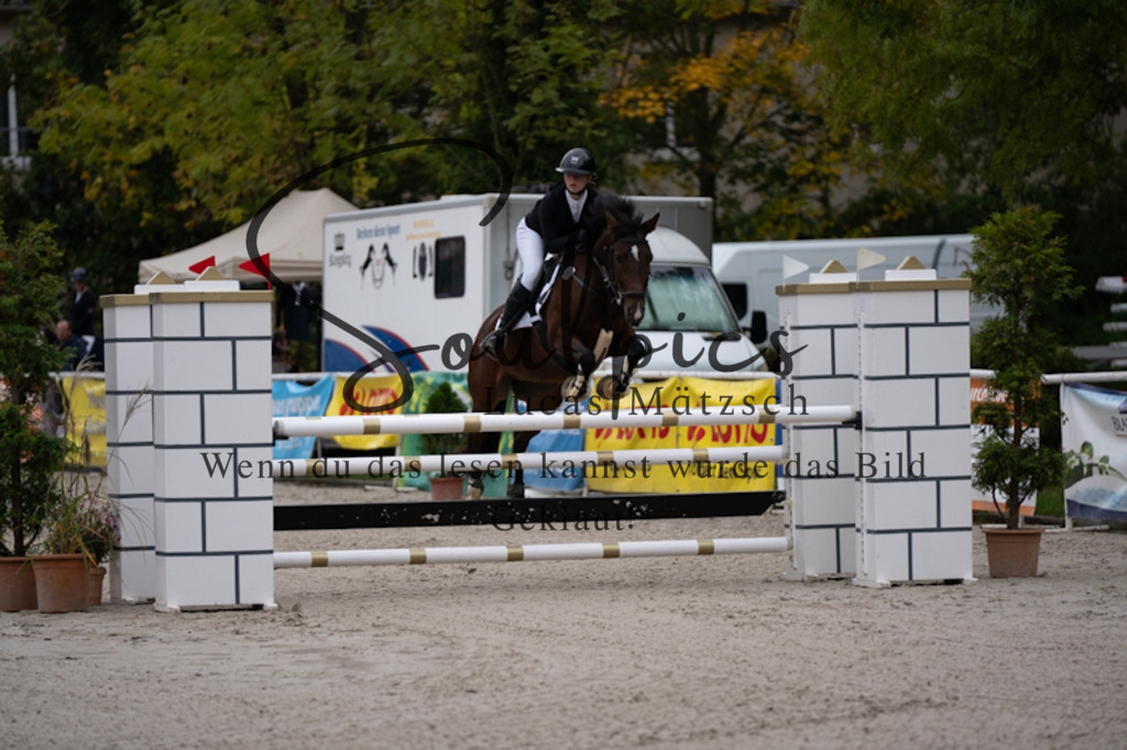 A7V00262 | Pferdefotograf