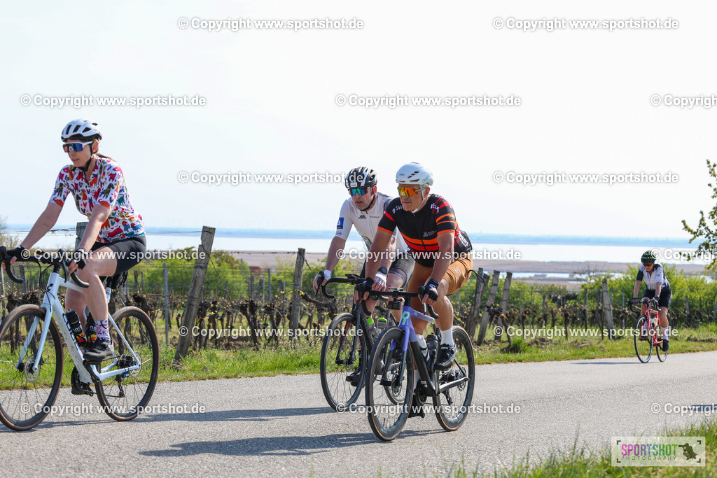 IMG_1924 | @sportshot_your_pictrs #yourpictures#roadtowm2029 #nrm #neusiedlerseeradmarathon #neusiedlersee #neusiedlerseetourismus #burgenland #mörbisch #nrm26 #burgenlandtourismus #voglundco #poweredbyburgenlandtourismus #radsport #rad #marathon #ucigranfondo #visitburgenland #ucigranfondoworldseries