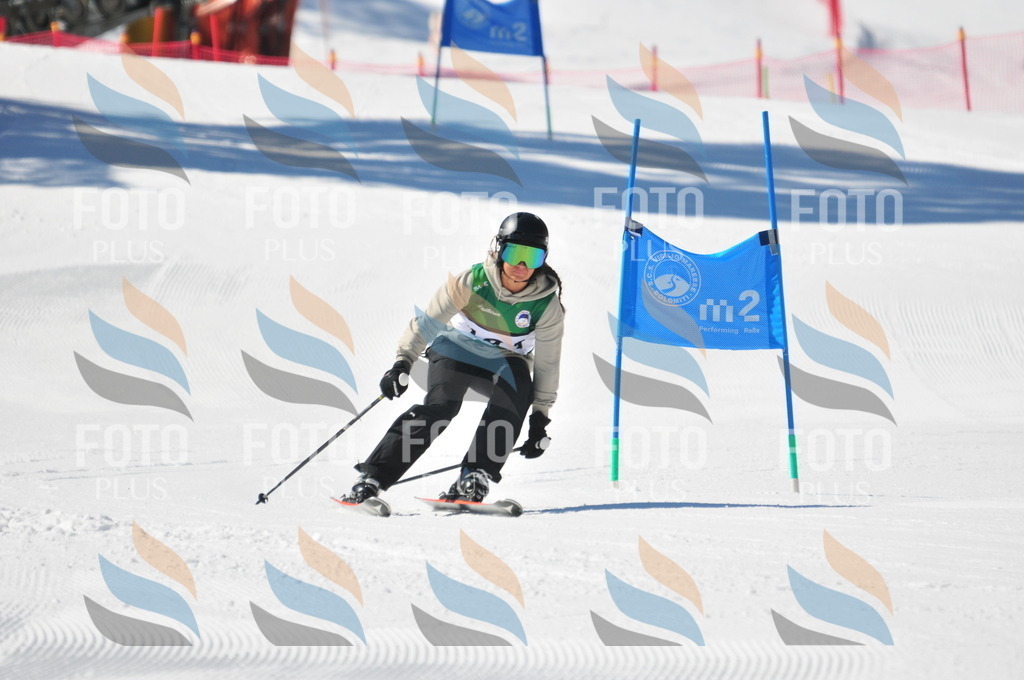 C4157 | holidayphoto