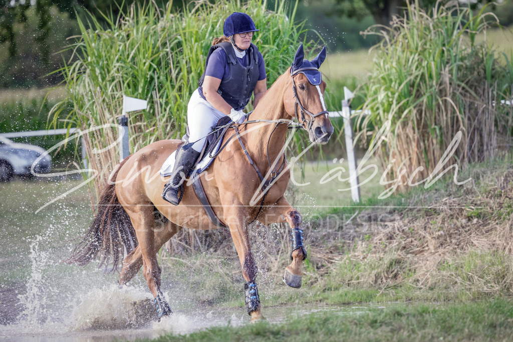 20250906-_3LI7405 | Tierfotografie Pferde, Hunde, Katzen, Haustiere.
Turnierfotografie Reitturniere, Reiten, Springreiten, Dressur in Hanau, dem Main-Kinzig-Kreis und dem Rhein-Main- Gebiet um Frankfurt