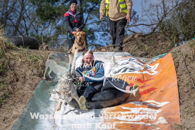 1035_ZZ90815 | kk-dogfotos