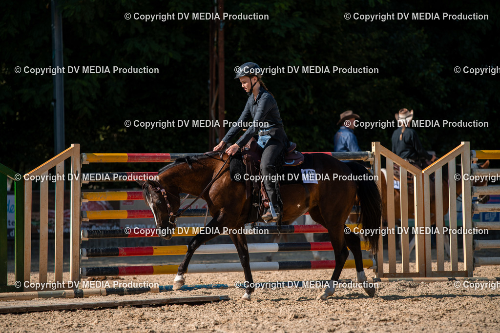 EWP_6978 | dv-media-shop - Realisiert mit Pictrs.com