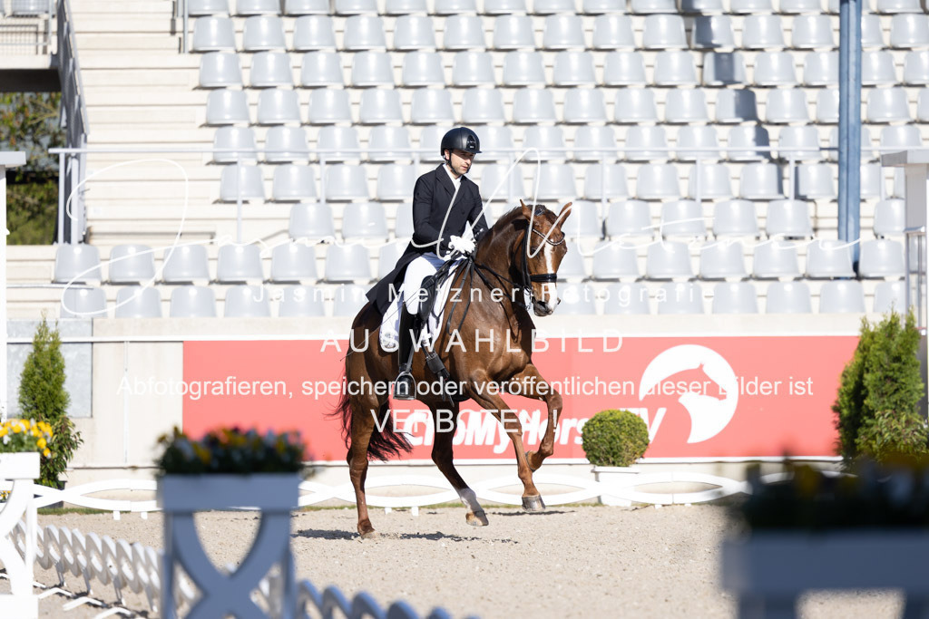 126A1188 | jasminmetznerfotografie