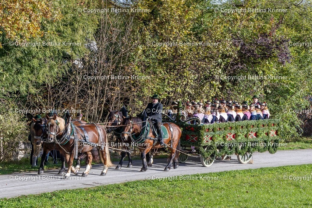 LBT24-519 | foto-bettina-krinner - Realisiert mit Pictrs.com