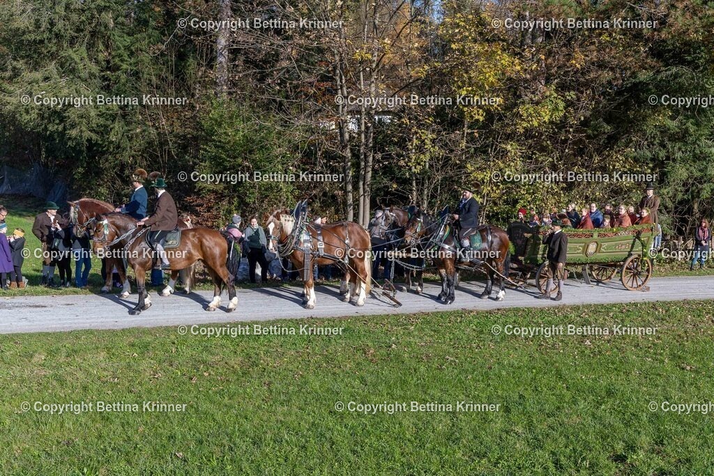 LBT24-707 | foto-bettina-krinner - Realisiert mit Pictrs.com