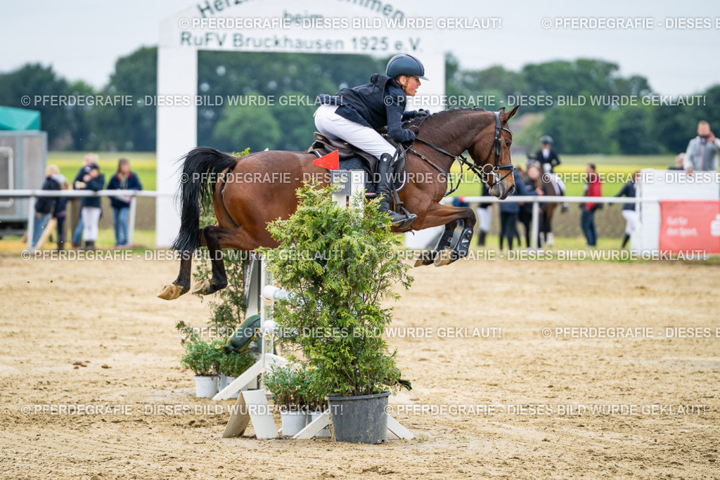 DSC06378 | Pferdegrafie