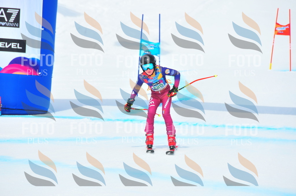 DSC_2032 | holidayphoto