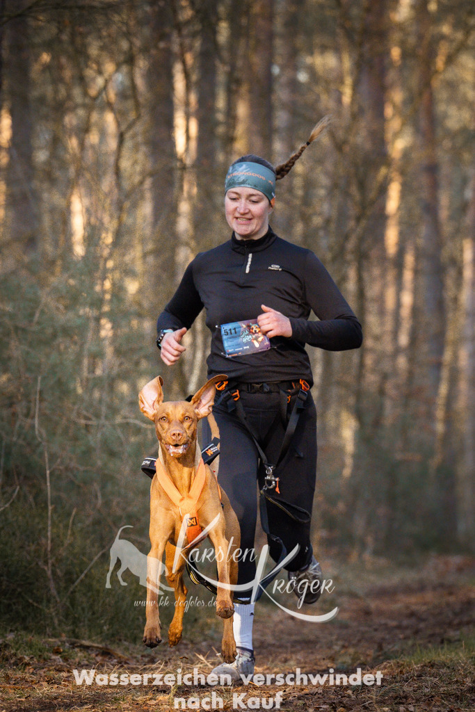 0811_ZZ99802-Bearbeitet-1 | kk-dogfotos