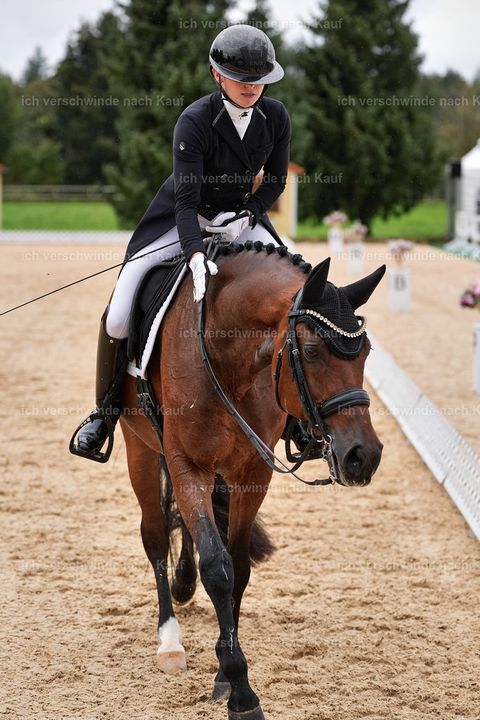 8_1-100-Klasse S_  -StoibPH-3891 | working equitationturnier fotograf videograf stoibphotography marixx film working equitation deutschland reitsport turnierfotografie eventfotografie equestrian events