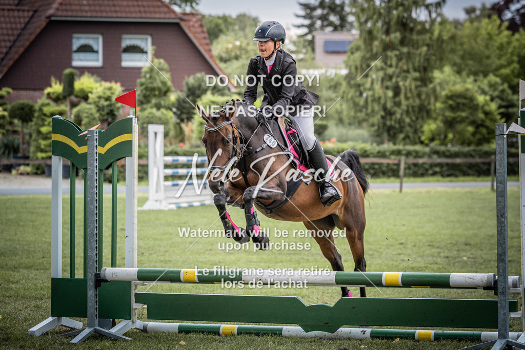 nelerasche_StilSpr60Ede_43 | nelerasche