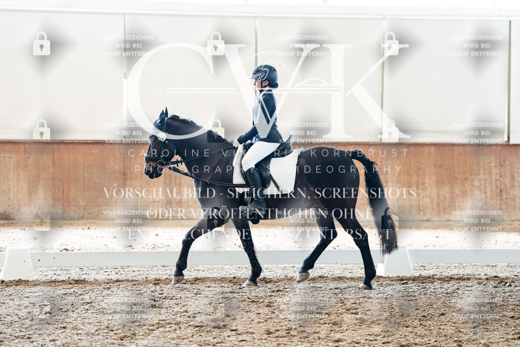 CK900159 | Turnierfotografie Pferdefotografie Trier Rheinland-Pfalz Pferdesport Reitsport Tierfotografie Sportfotografie Pferdevideo Pferdevideografie Equestrianvideography equestrianphotography  - Realized with Pictrs.com