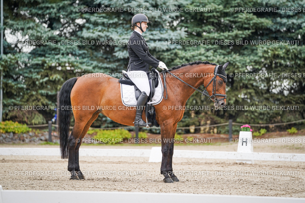 DSC01155 | Pferdegrafie