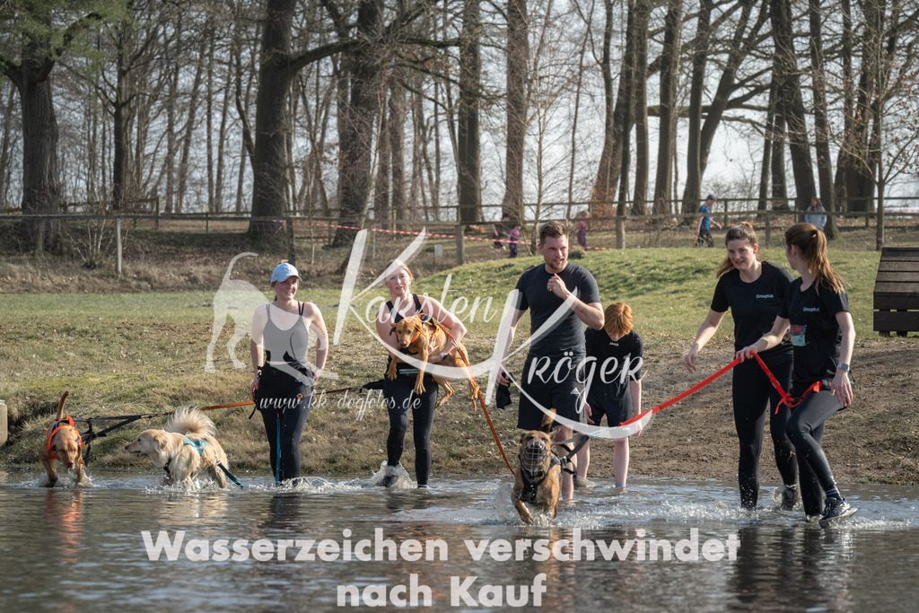 1305_ZZ94568 | kk-dogfotos