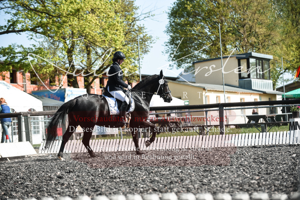 DSC_8632 | Pferde- und Turnierfotografie in Westsachsen. Pferdeportraits, Auftragszeichnungen und intuitive Kunst.
