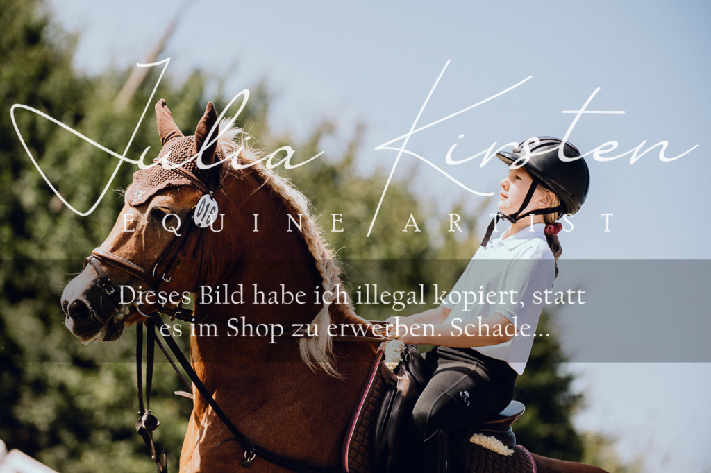 DSC_6956 | Pferde- und Turnierfotografie in Westsachsen. Pferdeportraits, Auftragszeichnungen und intuitive Kunst.