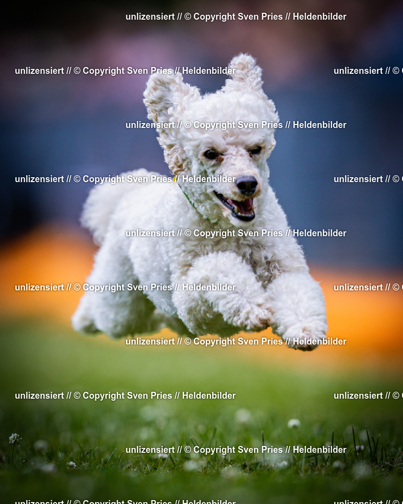 Sven Pries | 2025-05-29 - Pudelrennen KA-Durlach - Realisiert mit Pictrs.com